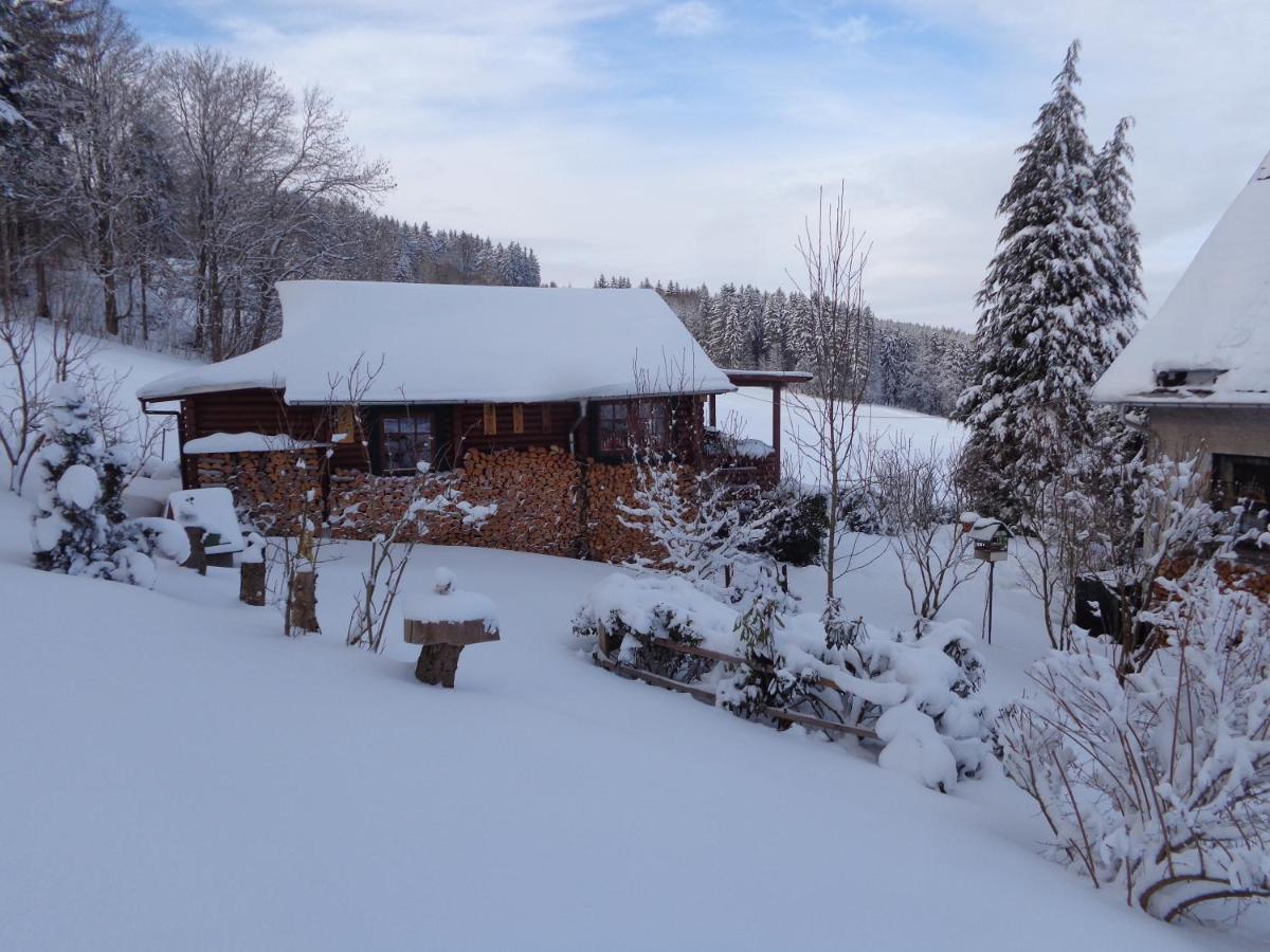 Вилла Ferienhaus Sachse Pockau Экстерьер фото